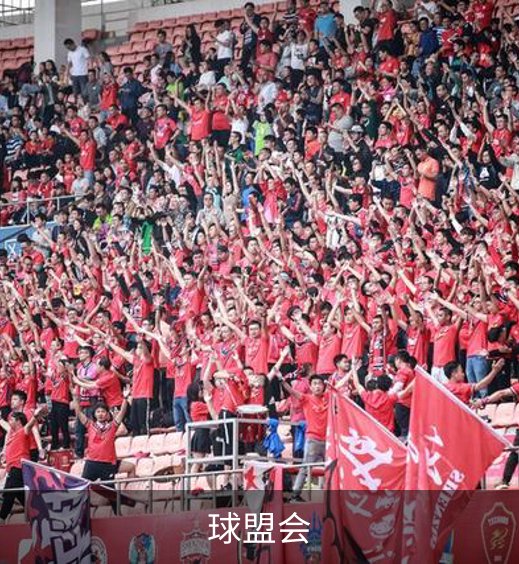 关于球盟会